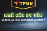 Các Loại Hình Cá Cược Tại tf88